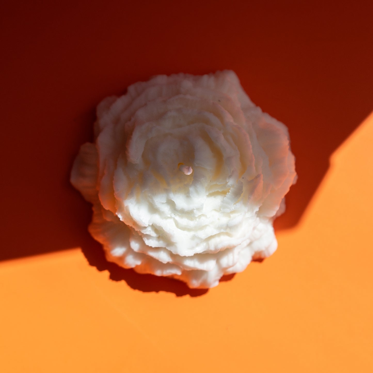 Vela Asteria